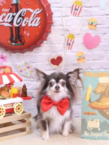 20230927空太くん